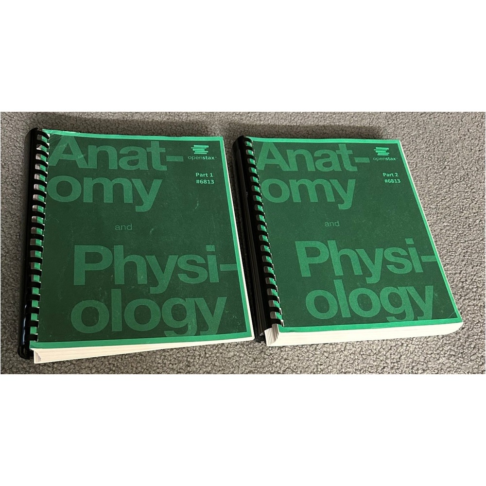 OpenStax Anatomy and Physiology Textbook Set Part 1 & 2 Green Spiral Bound #6813